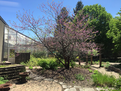 College «Hennepin Technical College», reviews and photos