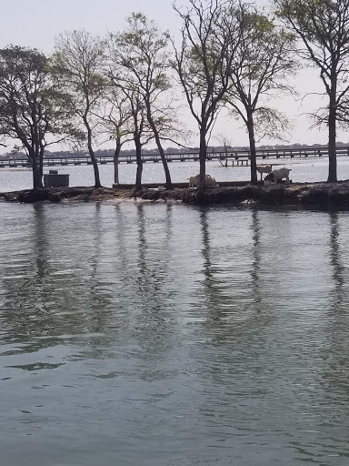Park «Morse Park Landing», reviews and photos, 4939 US-17 BUS, Murrells Inlet, SC 29576, USA