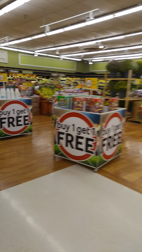 Grocery Store «Winn-Dixie», reviews and photos, 5802 54th Ave N, Kenneth City, FL 33709, USA