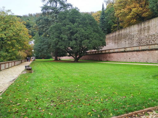 Heidelberg Castle Garden