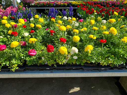 Home Improvement Store «The Home Depot», reviews and photos, 2121 Cadenasso Dr, Fairfield, CA 94533, USA