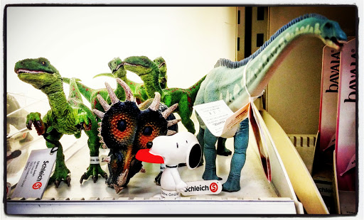 Toy Store «Toy Werks», reviews and photos, 923 N Loop 1604 E, San Antonio, TX 78232, USA