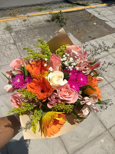 Bodega de Flores y Follaje – Gomez Palacio