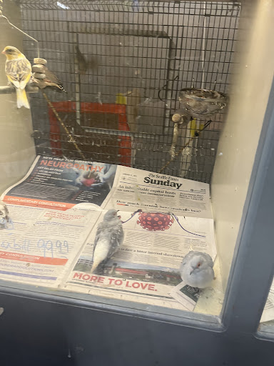 Pet Store «Sierra Fish and Pets», reviews and photos, 601 S Grady Way Suite M, Renton, WA 98057, USA