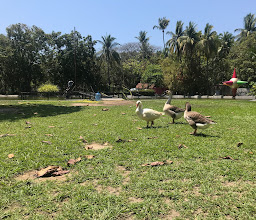 Centro Social Parque Papagayo photo