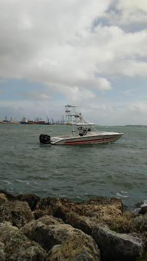 Performing Arts Theater «Bayfront Park Amphitheatre», reviews and photos, 301 Biscayne Blvd, Miami, FL 33132, USA