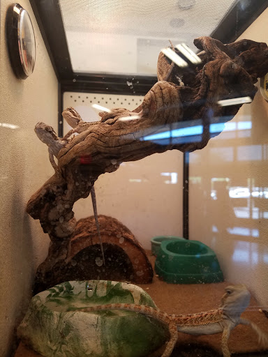 Pet Supply Store «PetSmart», reviews and photos, 466 S Watson Rd, Buckeye, AZ 85326, USA