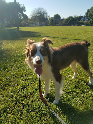 Park «Wallace City Park», reviews and photos, 1600 NW 25th Ave, Portland, OR 97210, USA