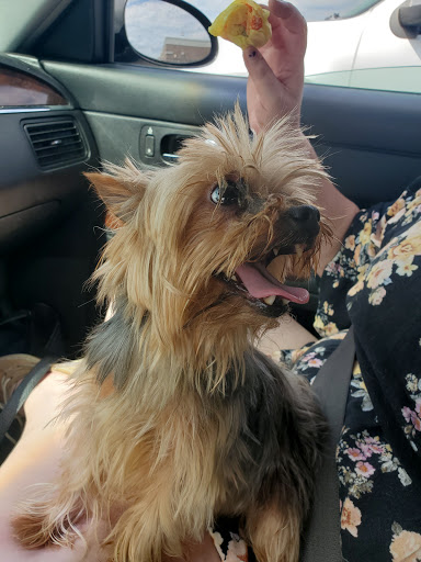 Tobacco Shop «Discount Smokes», reviews and photos, 6434 N Preston Hwy # 6B, Louisville, KY 40229, USA