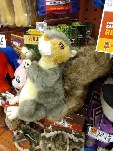 Shopping Mall «Airport Mall», reviews and photos, 1129 Union St, Bangor, ME 04401, USA