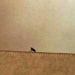 Photo n°1 de l'avis de Global.r fait le 07/07/2022 à 06:08 sur le  Il Borro Tuscan Bistro à Borro