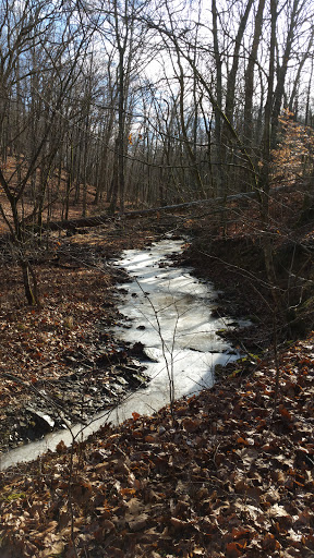 State Park «Taylorsville Lake State Park», reviews and photos, 1320 Park Rd, Mt Eden, KY 40046, USA