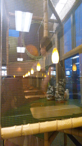 Fast Food Restaurant «Chick-fil-A», reviews and photos, 950 N Elmhurst Rd, Mt Prospect, IL 60056, USA