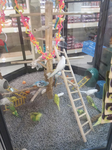 Pet Supply Store «Petco Animal Supplies», reviews and photos, 1742 Hamilton Blvd, Sioux City, IA 51103, USA