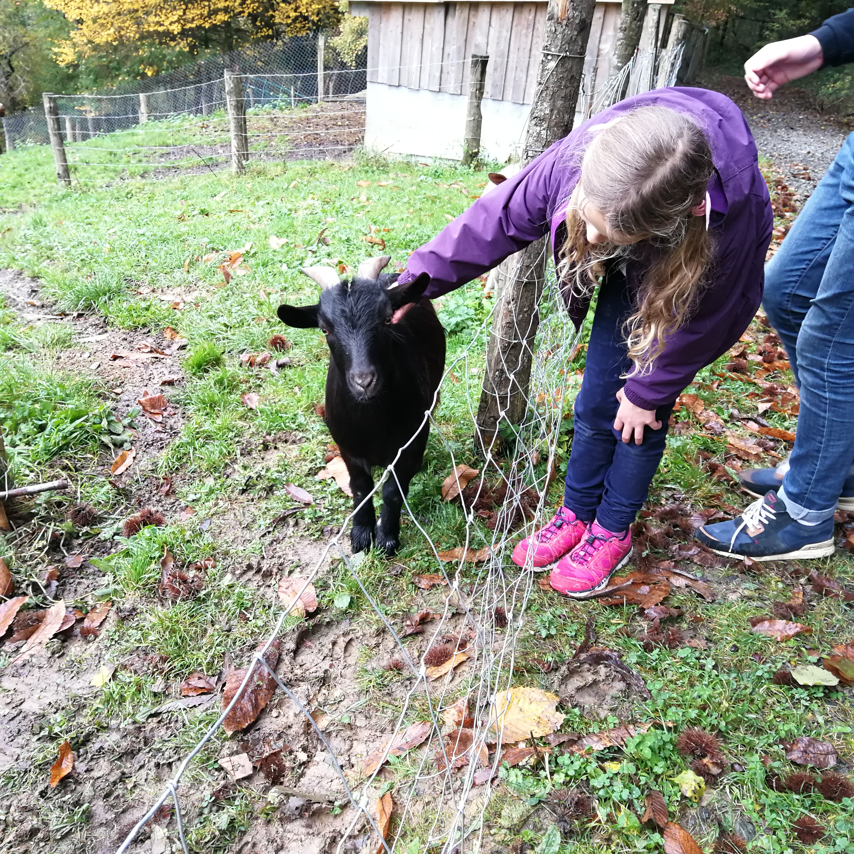 Photo n° 4 de l'avis de Iva.. fait le 21/11/2018 à 07:07