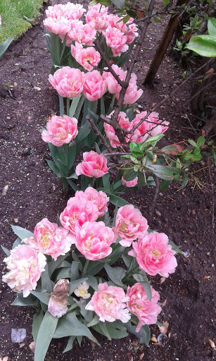 Park «Bensonhurst Park», reviews and photos, Cropsey Ave, Brooklyn, NY 11214, USA