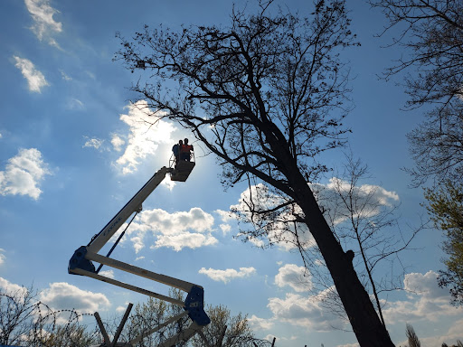 Alpinism Utilitar Bucuresti