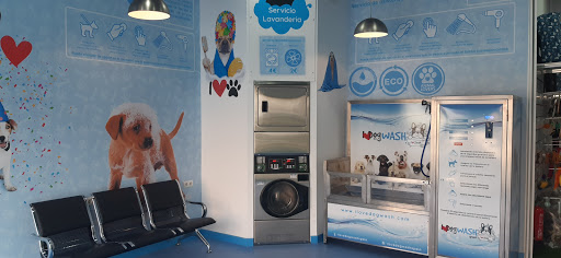 Mestizoo | I Love Dog Wash Las Rozas Autolavado Y Tienda De Mascotas