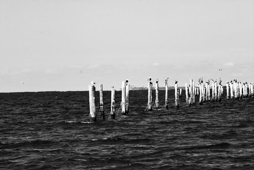 Toyota Dealer «Charles Barker Toyota», reviews and photos, 1877 Laskin Rd, Virginia Beach, VA 23454, USA