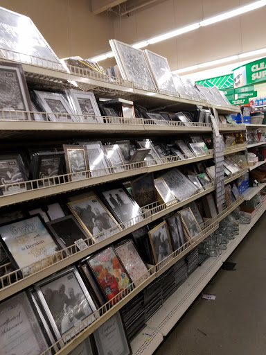 Dollar Store «Dollar Tree», reviews and photos, 950 American Legion Hwy, Boston, MA 02131, USA
