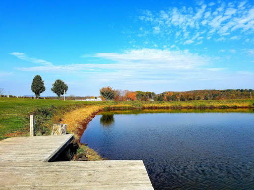 Winery «Gouveia Vineyards», reviews and photos, 1339 Whirlwind Hill Rd, Wallingford, CT 06492, USA