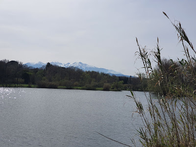 Lac de Saint Féliu d'Avall à Saint-Féliu-d'Avall