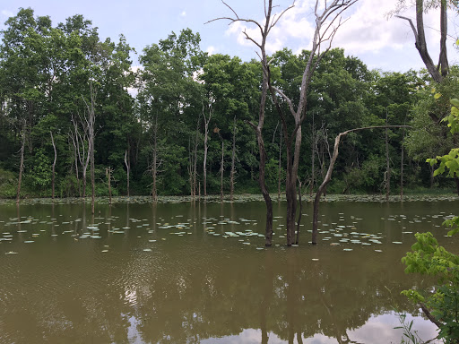 Tourist Attraction «Caesar Creek Visitor Center», reviews and photos, 4020 N Clarksville Rd, Waynesville, OH 45068, USA