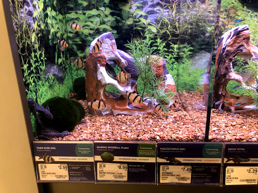 Pet Supply Store «PetSmart», reviews and photos, 540 New York Ave, Lyndhurst, NJ 07071, USA