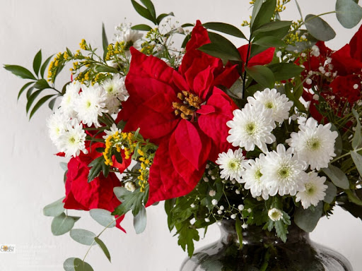 Florist «Country Garden Florist», reviews and photos, 9559 US-42, Prospect, KY 40059, USA