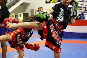 Double Dose Muay Thai and Fitness image