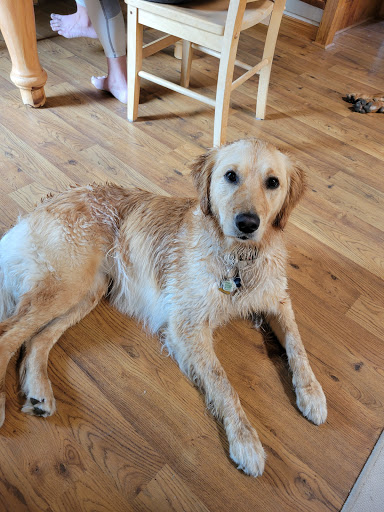 Cottage Country Animal Clinic image