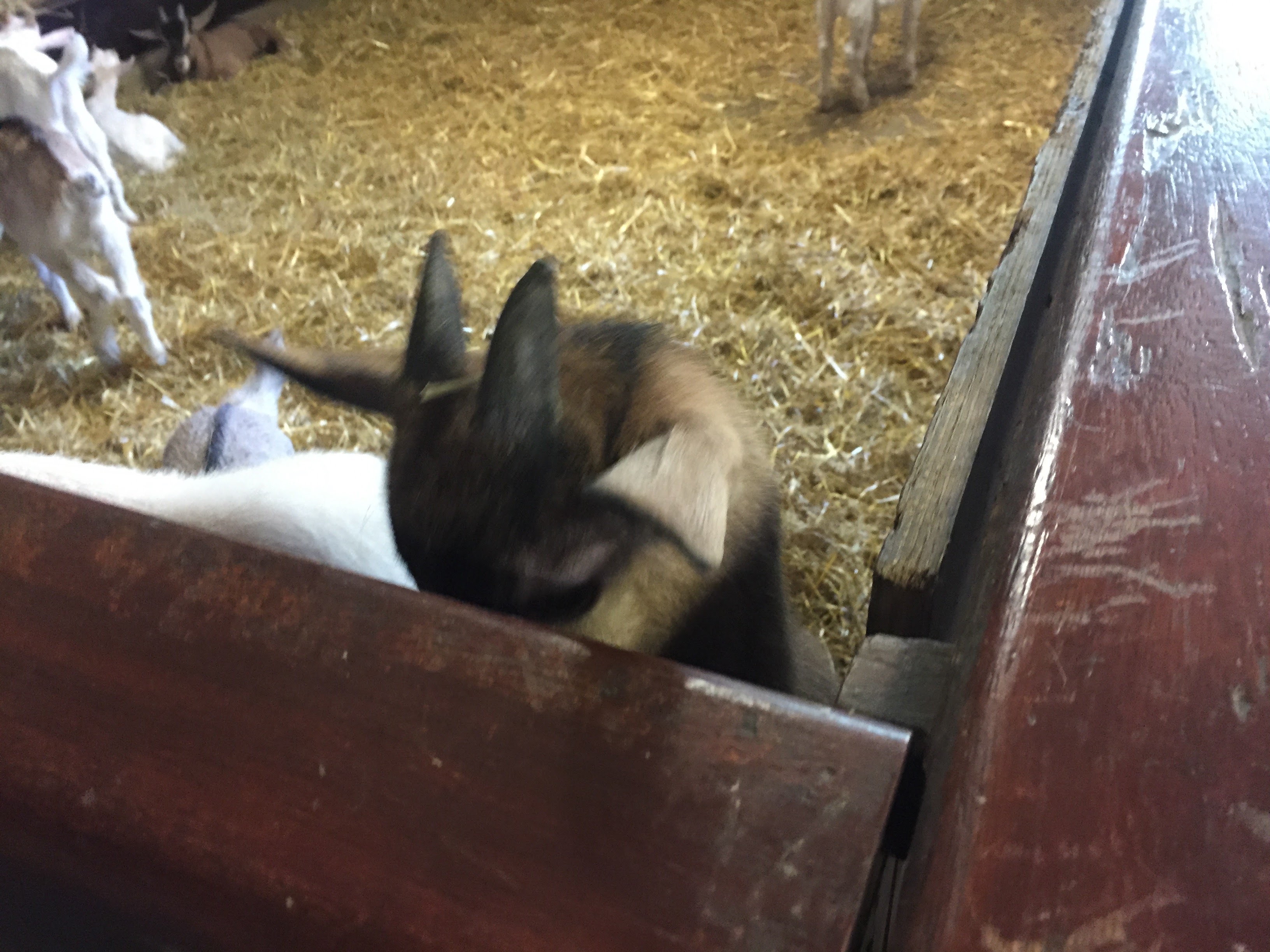 Photo n° 23 de l'avis de lou.o fait le 21/04/2018 à 14:21