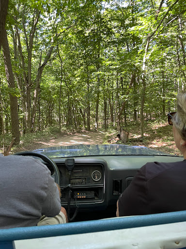 Tourist Attraction «Saugatuck Dune Rides Inc», reviews and photos, 6495 Blue Star Hwy, Saugatuck, MI 49453, USA