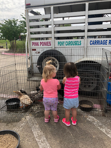 School «Lighthouse Private School», reviews and photos, 5600 Horizon Rd, Rockwall, TX 75032, USA