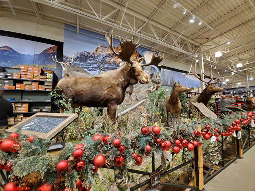 Outdoor Sports Store «Field & Stream», reviews and photos, 1501 Sentinel Dr Ste B, Chesapeake, VA 23320, USA