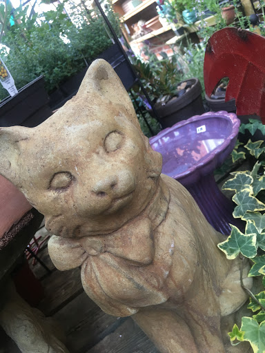 Florist «Potting Shed», reviews and photos, 112 W Middle St # 100, Chelsea, MI 48118, USA