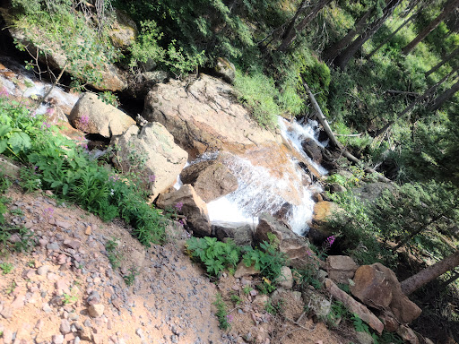 Tourist Attraction «The Broadmoor Pikes Peak Cog Railway», reviews and photos, 515 Ruxton Ave, Manitou Springs, CO 80829, USA