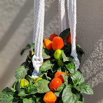 Photo n°21 de l'avis de Marcello.o fait le 28/08/2021 à 15:23 sur le  Locanda della Meridiana à Santa Margherita di Pula