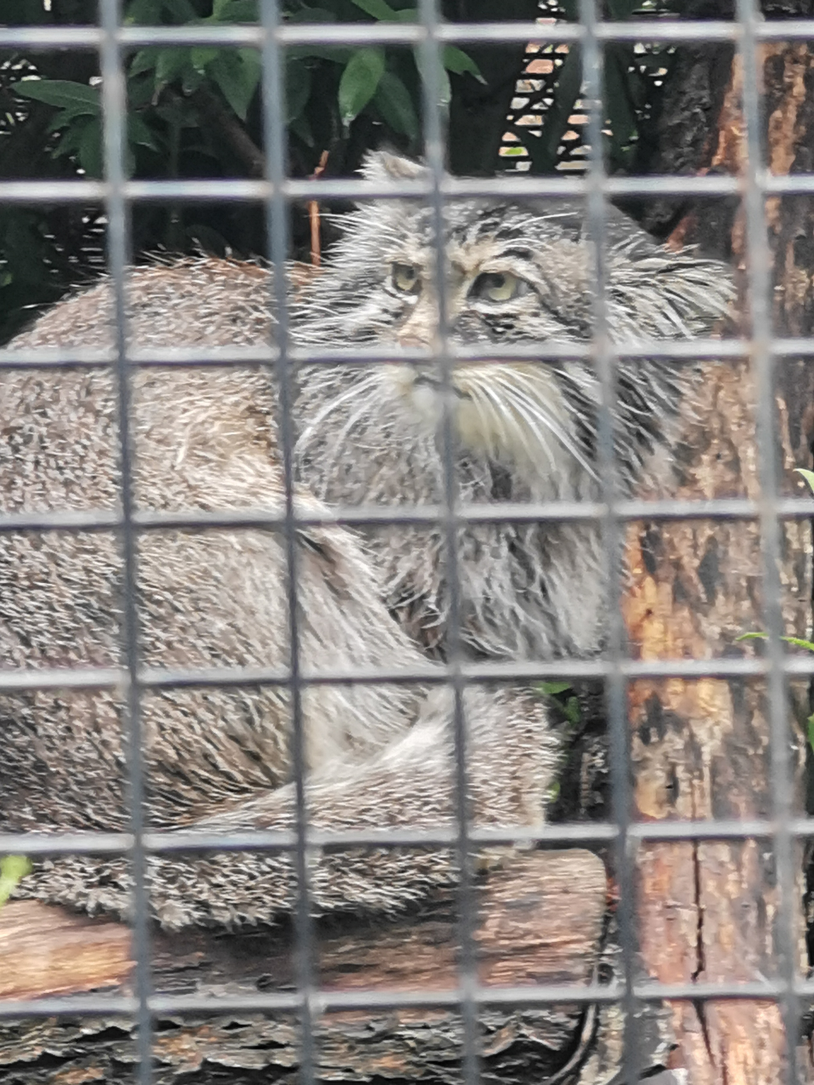 Photo n° 7 de l'avis de Bianca.a fait le 05/06/2022 à 15:50