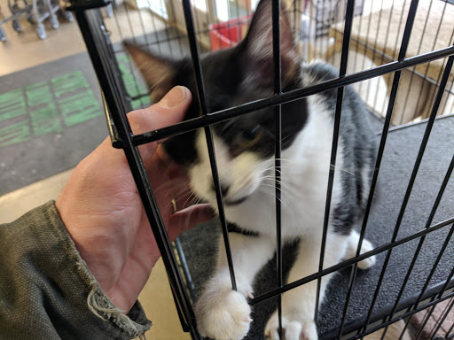 Pet Supply Store «Petsense Fort Worth», reviews and photos, 1408 Eastchase Pkwy #100, Fort Worth, TX 76120, USA