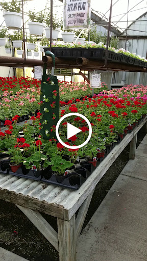 Florist «Frankstown Gardens», reviews and photos, 10158 Frankstown Rd, Pittsburgh, PA 15235, USA