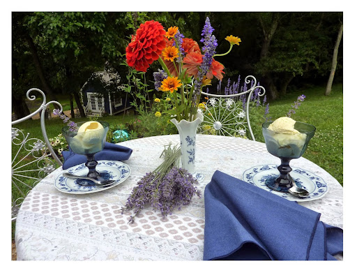 Farm «Blooming Hill Lavender Farm», reviews and photos, 19929 Telegraph Springs Rd, Purcellville, VA 20132, USA