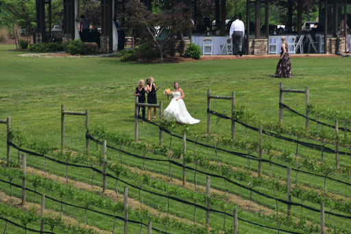 Winery «CeNita Vineyards, Winery & Tasting Room», reviews and photos, 591 Dock Dorsey Rd, Cleveland, GA 30528, USA