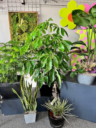 Florist «Skyway Creations», reviews and photos, 1407 S 8th St, Colorado Springs, CO 80905, USA