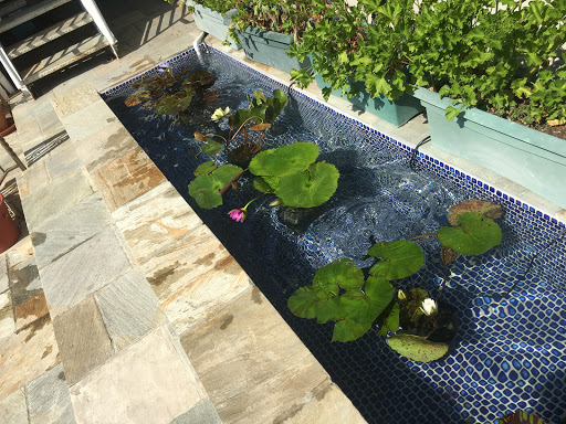 Pond Solutions