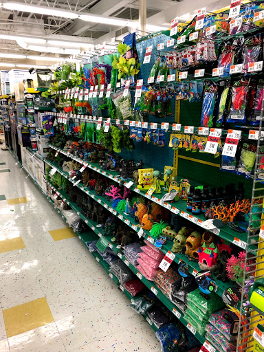 Pet Supply Store «Pet Supplies Plus», reviews and photos, 5092 Mayfield Rd, Lyndhurst, OH 44124, USA