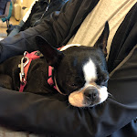 Photo n°3 de l'avis de G..r fait le 18/05/2024 à 19:07 sur le  Bocciodromo della Serra à Torrazzo