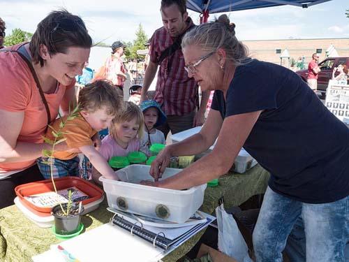 Produce Market «Maple Grove Farmers Market», reviews and photos, 12951 Weaver Lake Rd, Maple Grove, MN 55369, USA