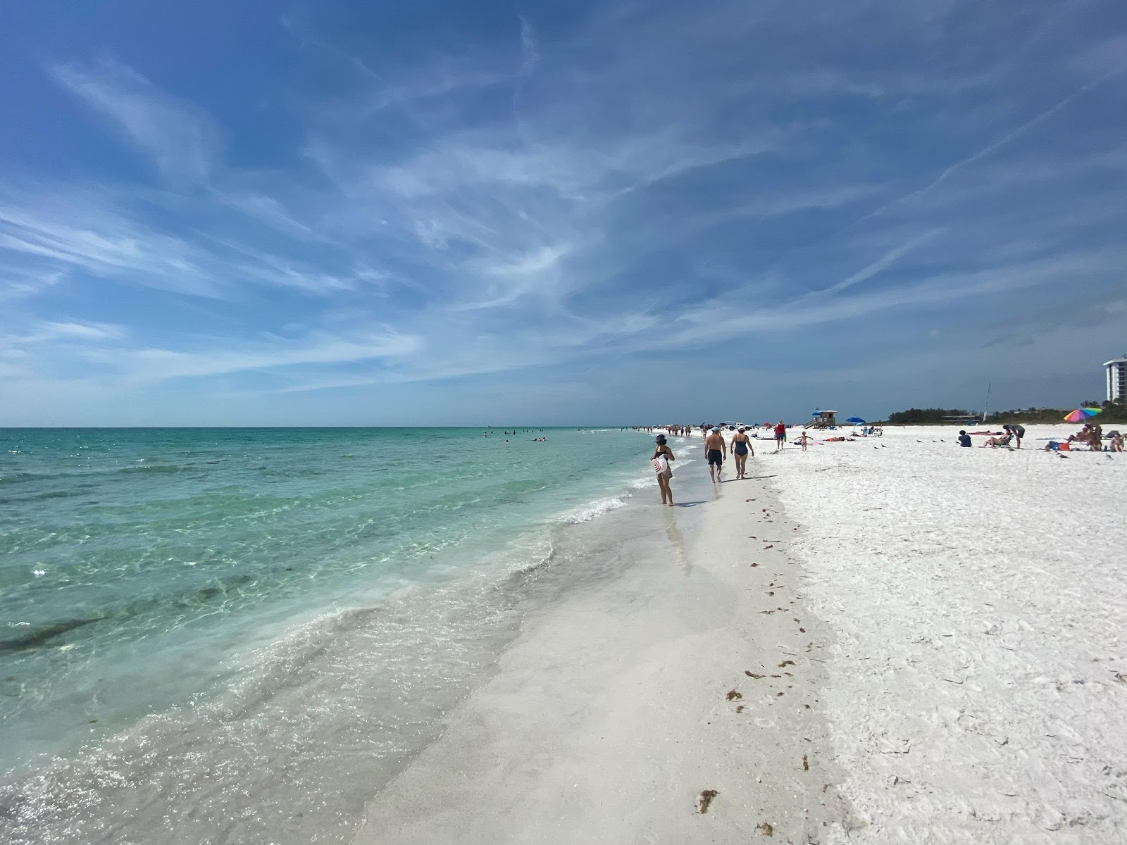 Φωτογραφία του Lido Key beach με επίπεδο καθαριότητας πολύ καθαρό