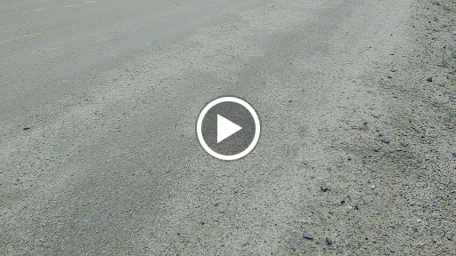 Tourist Attraction «Oregon Vortex», reviews and photos, 4303 Sardine Creek L Fork Rd, Gold Hill, OR 97525, USA